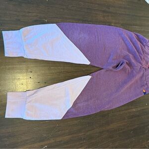 Aviator Nation Purple Joggers with Tapered Fit
